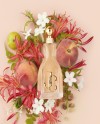 JC I WANT CHOO EDP