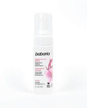 MOUSSE LIMPIADOR